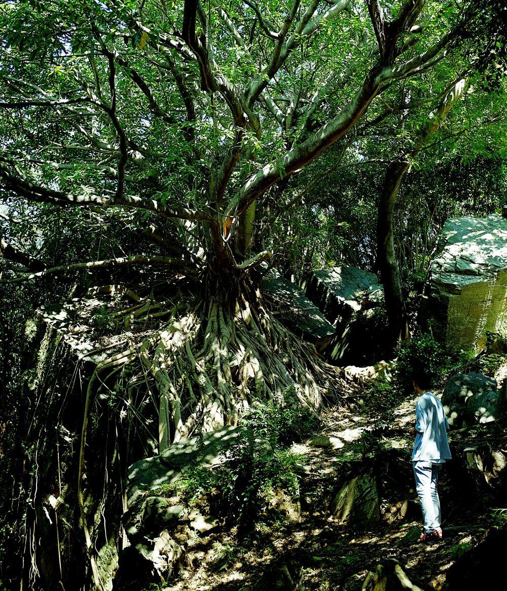 西平椿公園（天草的拉普達）